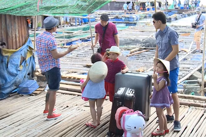 Sau khi trải nghiệm cuộc sống ngư dân, các ông bố có mong muốn được ở resort và ăn hải sản.