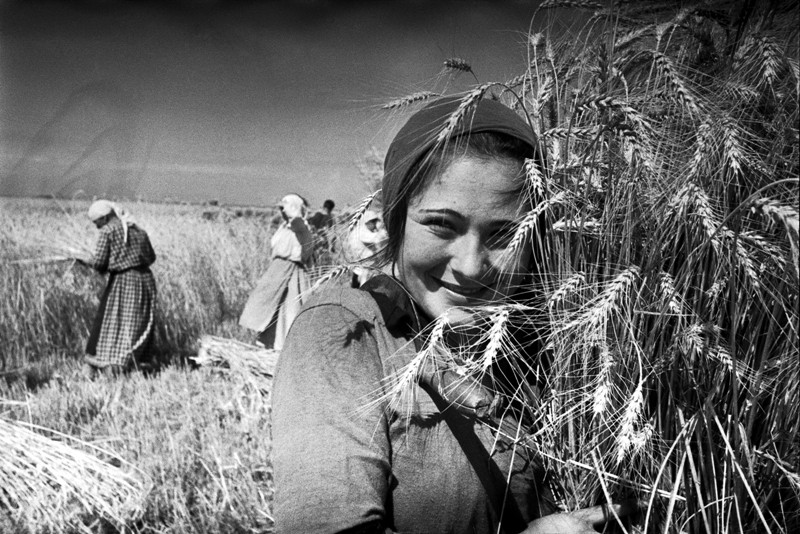 Cô gái trên cánh đồng, Liên Xô thập niên 1930. Ảnh: Mark Markov-Grinberg.