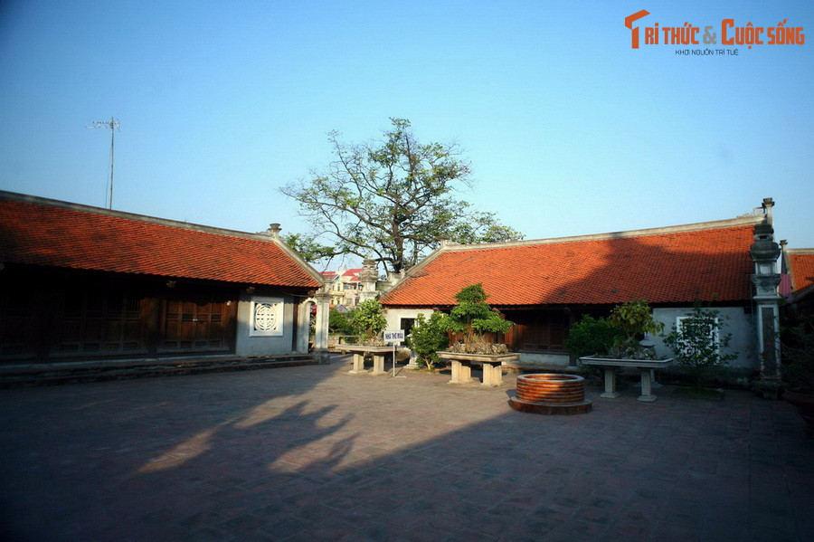  10. Lễ hội độc đáo. Lễ hội chùa Dâu được tổ chức vào ngày 8 tháng 4 Âm lịch hàng năm, là lễ hội lớn của cả tổng Dâu xưa. Ngày nay, với nhiều nét văn hóa truyền thống độc đáo vẫn được duy trì trong lễ hội như lễ tắm Phật, rước Phật Tứ Pháp, cuộc thi “cướp nước”…