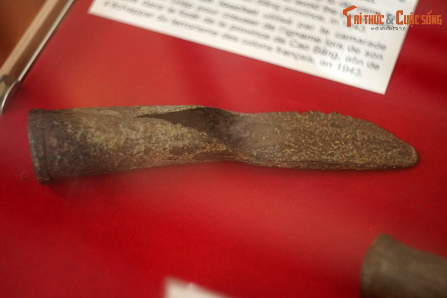 Lưỡi thuổng, đồng chí Võ Nguyên Giáp đã dùng đào củ mài để ăn trong thời gian tạm lánh vào rừng ở tỉnh Cao Bằng nhằm tránh sự khủng bố của thực dân Pháp, năm 1943.