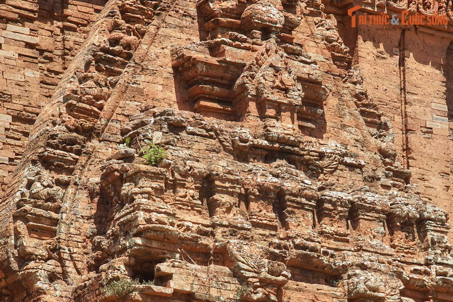 Một điều đặc biệt nữa về gạch Chăm là những bức tường gạch nguyên bản của các đền tháp Champa đều không bao giờ bị rêu phong, đen sạm bởi sương gió, ngoại trừ khi bị vỡ, bị tách biệt khỏi môi trường kiến trúc tự nhiên. Ảnh: Tháp Tháp Bình Lâm ở Tuy Phước, Bình Định.