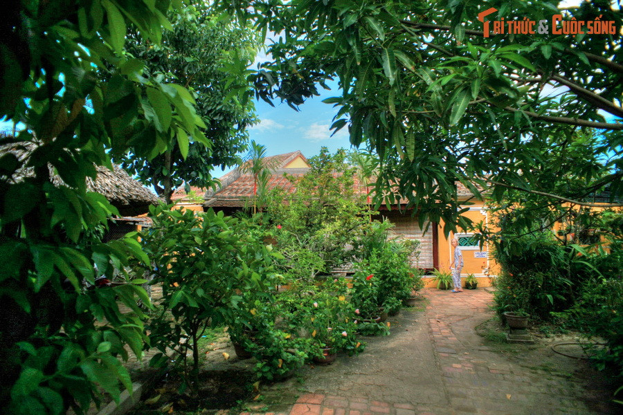 Về cách xây dựng, nhà thờ tộc Trần có nét tương đồng với nhiều ngôi nhà khác trong phố cổ Hội An như xây bằng vật liệu gỗ, lợp ngói âm dương… Điểm khác biệt là ngôi nhà nằm một khu vườn diện tích lên đến 1.500 m2, là ngôi nhà cổ có khuôn viên rộng bậc nhất Hội An.