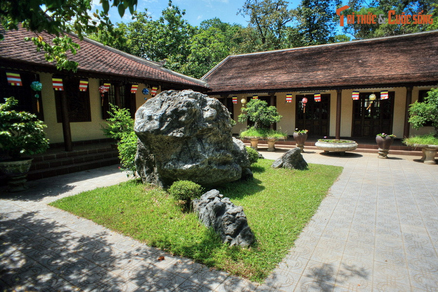 Câu chuyện lan đến triều đình vua Tự Đức. Nghe điều chướng tai gai mắt xảy ra gần kinh đô, vua sai binh lính túc trực quanh am An Dưỡng xem thực hư thế nào. Quả nhiên, quân binh tận mắt chứng kiến sư Nhất Định xách cá vào chùa.