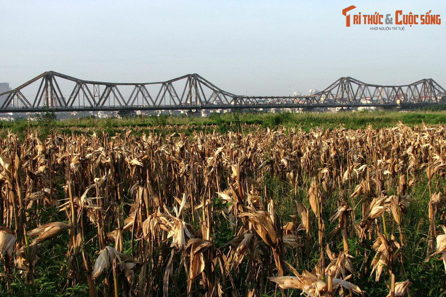 Jean Sainteny (1907-1978) là một chính khách và sĩ quan tình báo người Pháp. Giữ vai trò đại diện cho chính phủ Pháp tại Đông Dương, ông là người đã hoàn tất thủ tục trao quyền kiểm soát thủ đô Hà Nội cho Chính phủ Việt Nam Dân chủ Cộng hòa.