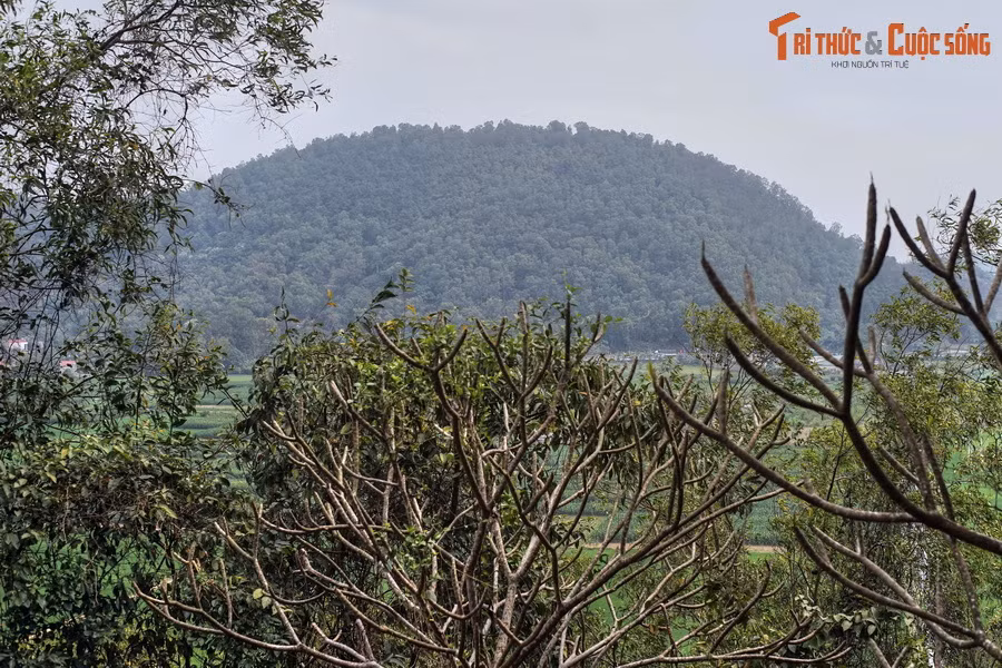 Với quân số lên đến hàng nghìn người, nghĩa quân của Bà Triệu đã chiến đấu rất kiên cường, có thời điểm liên tiếp triệt hạ được các thành ấp của giặc Ngô, khiến quân địch khiếp sợ.