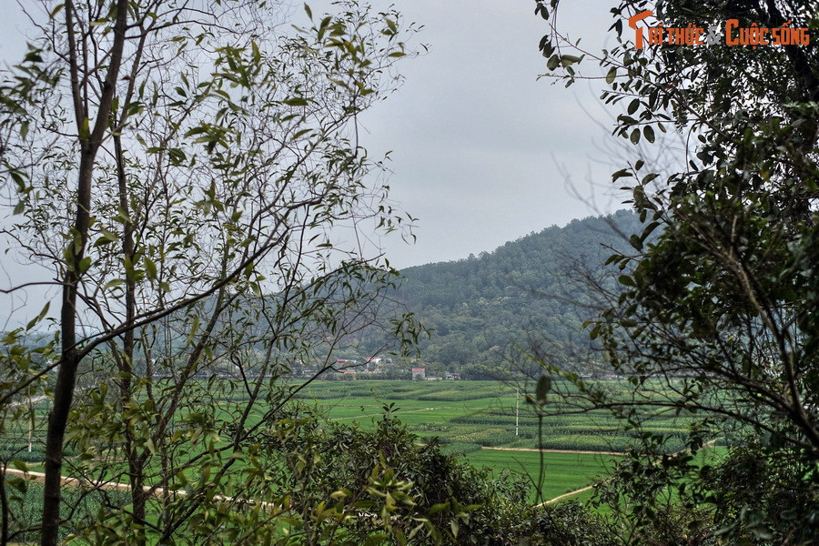 Theo sử sách, Bà Triệu tên thật là Triệu Thị Trinh. Ngay từ thuở thiếu thời, bà đã tỏ rõ chí khí hơn người. Năm 248, căm thù quân xâm lược giày xéo non sông, Bà Triệu đã cùng người anh của mình là Triệu Quốc Đạt tập hợp lực lượng, phất cờ khởi nghĩa.