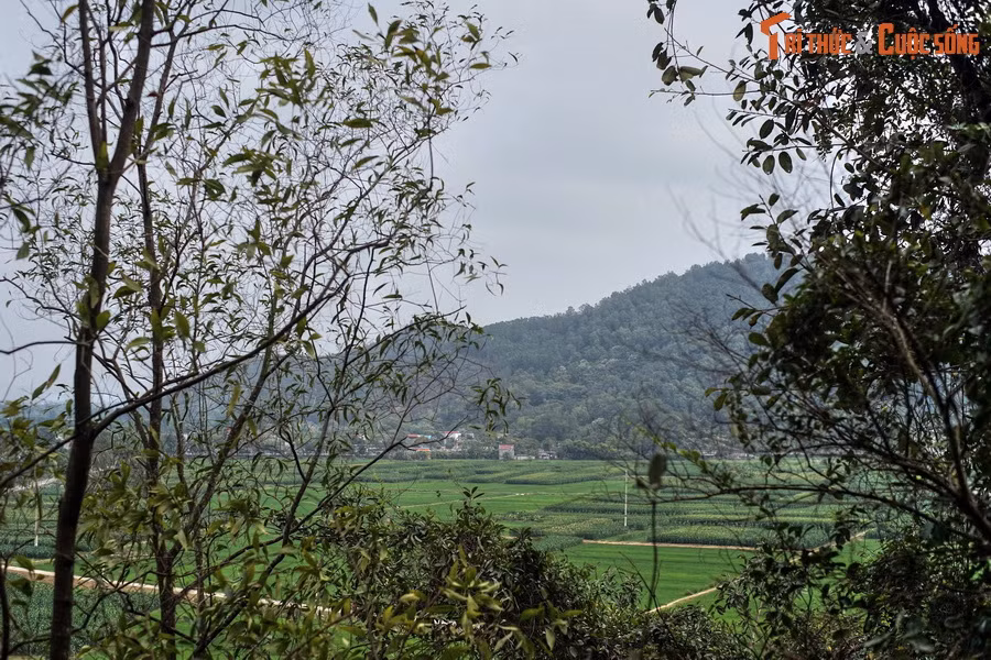 Theo sử sách, Bà Triệu tên thật là Triệu Thị Trinh. Ngay từ thuở thiếu thời, bà đã tỏ rõ chí khí hơn người. Năm 248, căm thù quân xâm lược giày xéo non sông, Bà Triệu đã cùng người anh của mình là Triệu Quốc Đạt tập hợp lực lượng, phất cờ khởi nghĩa.