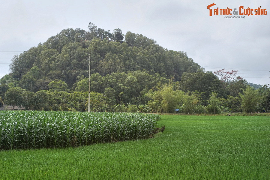 Nằm ở địa phận xã Triệu Lộc, huyện Hậu Lộc, tỉnh Thanh Hóa, núi Tùng là một địa danh lịch sử gắn liền với cuộc khởi nghĩa chống giặc Ngô xâm lược do Bà Triệu lãnh đạo năm 248 sau Công nguyên.