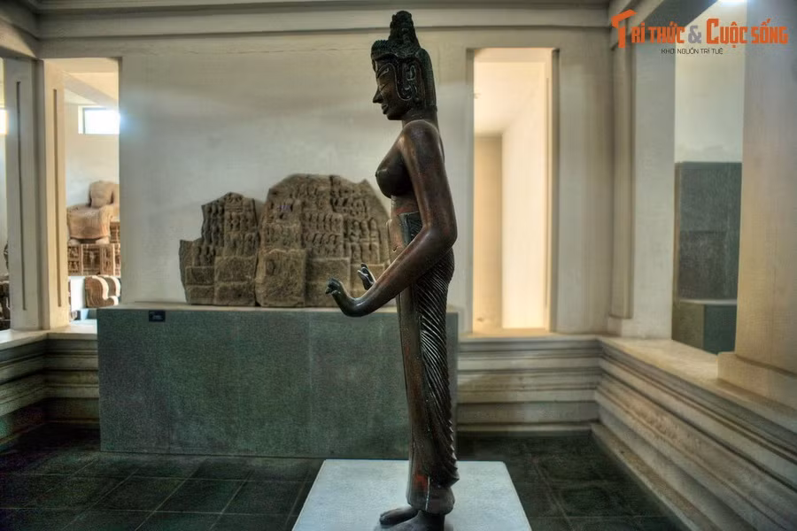 Trong quan niệm Phật giáo của người Chăm xưa, Tara là một vị Bồ tát. Tượng vị nữ thần này được đúc bằng đồng, cao 129,3cm, thể hiện hình ảnh người phụ nữ ngực trần, thân dưới được che bằng váy kiểu sa rông.