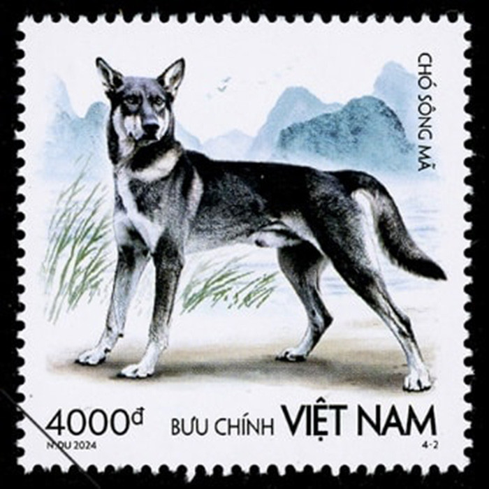 Hình nền mẫu tem "Chó Sông Mã" là cảnh dòng sông Mã. Ảnh: Bưu điện Việt Nam.