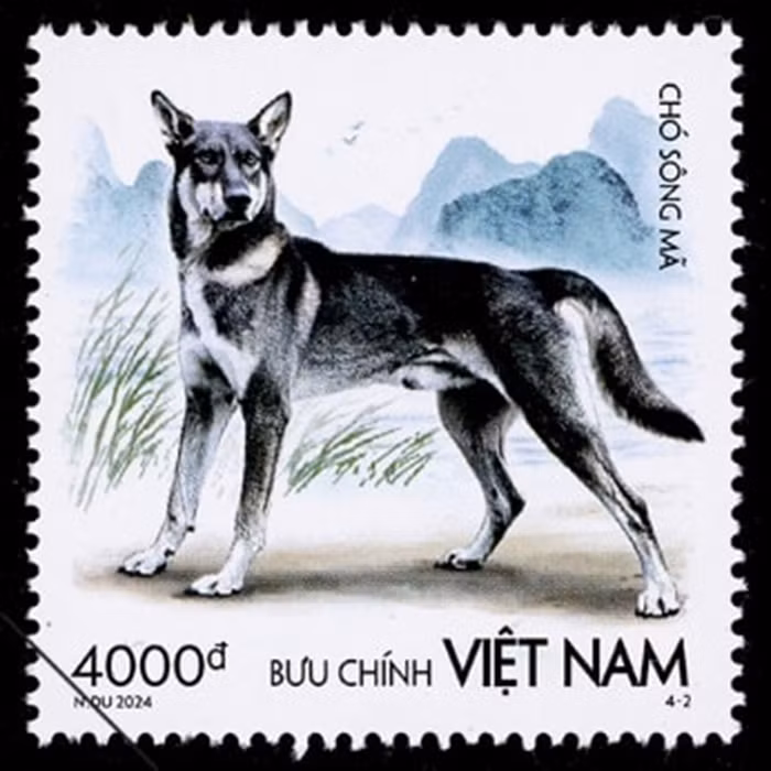 Hình nền mẫu tem "Chó Sông Mã" là cảnh dòng sông Mã. Ảnh: Bưu điện Việt Nam.