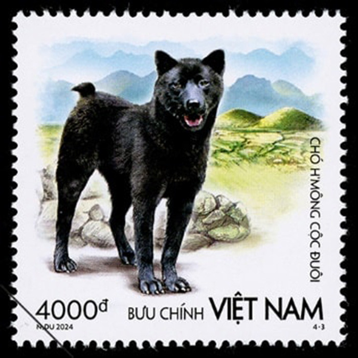 Hình nền mẫu tem "Chó H’mông cộc đuôi" là cảnh Núi Đôi, Quảng Bạ, Hà Giang. Ảnh: Bưu điện Việt Nam.