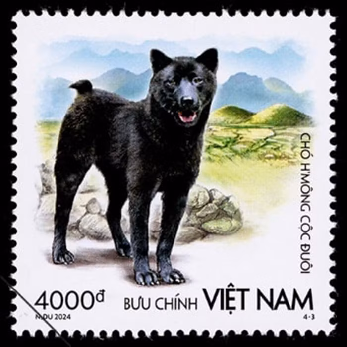 Hình nền mẫu tem "Chó H’mông cộc đuôi" là cảnh Núi Đôi, Quảng Bạ, Hà Giang. Ảnh: Bưu điện Việt Nam.