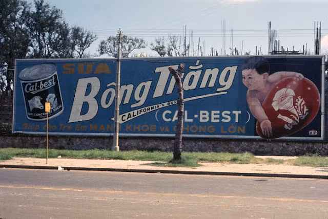 Tấm biển quảng cáo sữa cỡ lớn được treo bên đường.