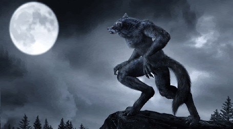 Vào thời điểm đó, rất nhiều người tin vào điều này, Thậm chí một số người còn tự nhận là người sói. Herodotus còn lý giải sự biến mất của người Neuri ở vùng đất họ sinh sống là do sự tấn công, xâm lấn của loài rắn.