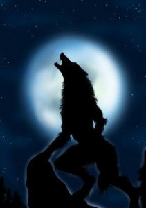 Tuy nhiên, một số sử gia cho rằng, người Neuri thực chất mặc một bộ quần áo da sói để săn bắn. Do đó, họ cho rằng sử gia Herodotus đã bị nhầm lẫn với điều này.