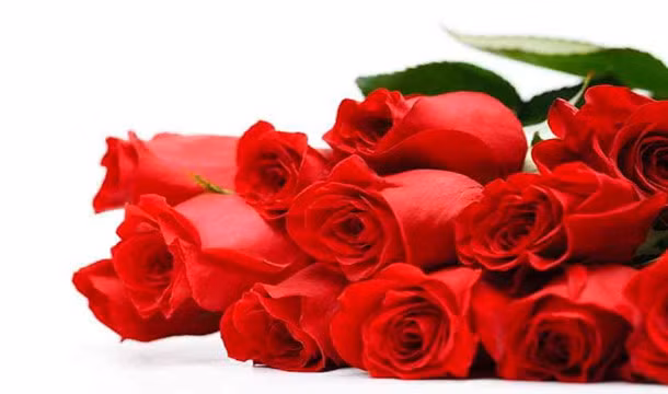 73% nam giới mua hoa trong ngày Valentine và chỉ có 27% nữ giới mua hoa tặng người yêu trong ngày lễ tình nhân.