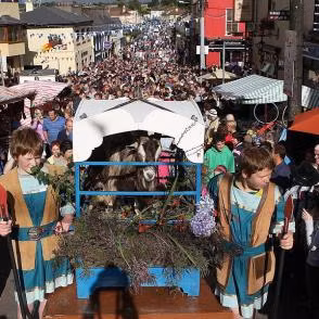 Bên cạnh đó, người dân cũng chọn ra một hoàng hậu dê và một số người đóng vai người hầu.