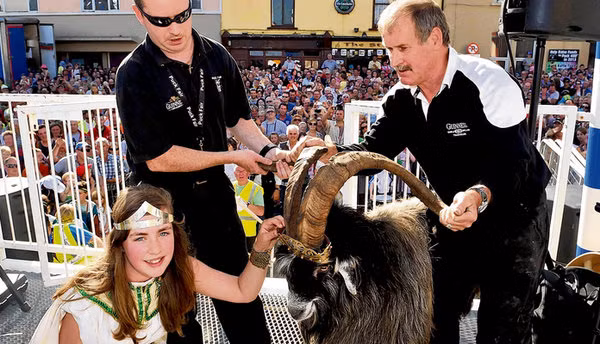 Lễ hội dê độc đáo này diễn ra ở Killorglin, Ireland có nguồn gốc từ một truyền thuyết cổ xưa có từ thế kỷ 17. Theo đó, một con dê đã báo hiệu cho dân làng khi kẻ thù sắp đến.