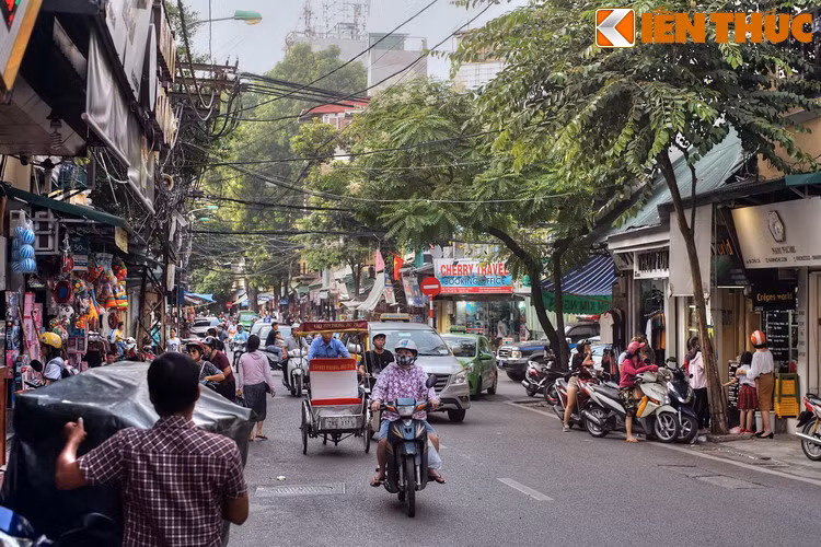Thời Pháp thuộc, người Pháp gọi là rue de la Laque, nghĩa là phố Hàng Sơn. Năm 1945 phố trở về tên gọi phố Chả Cá và giữ nguyên tên phố này cho đến nay.