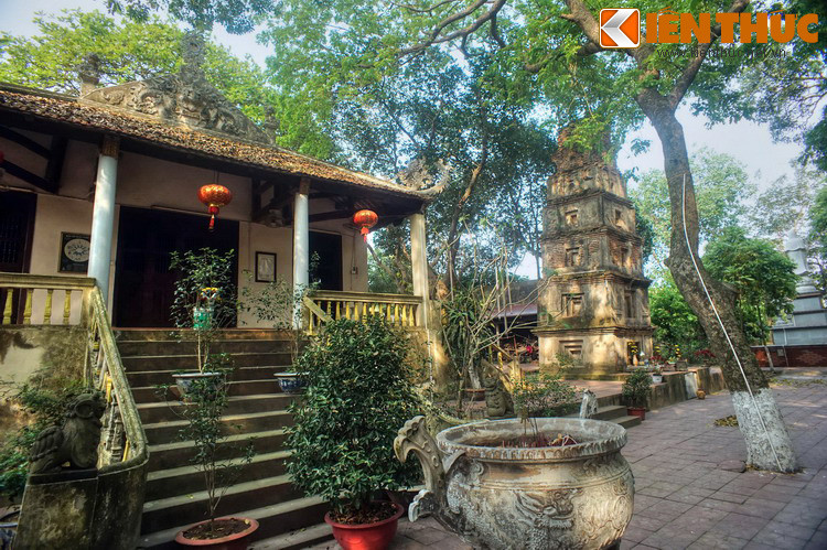 Được xây dựng từ thế kỷ 12 ở làng Cói, xã Hợp Thịnh, huyện Tam Dương, nay thuộc phường Hội Hợp, thành phố Vĩnh Yên, tỉnh Vĩnh Phúc, chùa Cói là một trong những ngôi chùa cổ nổi tiếng nhất xứ Đoài.