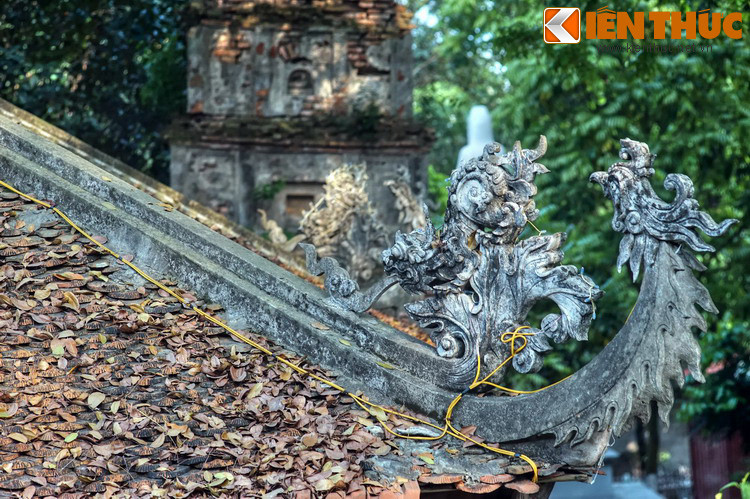 Vào thời thuộc địa, năm 1939, Viễn Đông Bác Cổ trung tâm nghiên cứu của Pháp về Đông phương học – đã xếp chùa Cói vào hạng mục di sản văn hoá có giá trị ở Đông Dương, và có nhiều lời ca ngợi về kiến trúc của chùa.