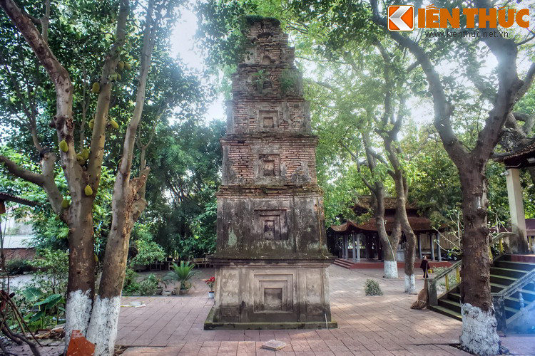 Công trình tiêu biếu nhất của chùa Cói là một tòa cây tháp xây bằng gạch. Đây là một trong hai tòa tháp được Quận Hẻo cho xây năm xưa, thường gọi là tháp Cói. Dù đã bị hư hại nhiều, tháp vẫn giữ được những đường nét kiến trúc vốn có.