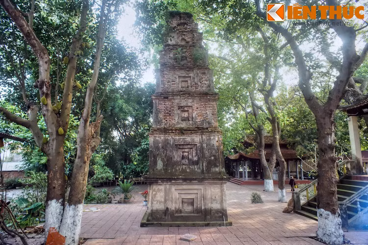 Công trình tiêu biếu nhất của chùa Cói là một tòa cây tháp xây bằng gạch. Đây là một trong hai tòa tháp được Quận Hẻo cho xây năm xưa, thường gọi là tháp Cói. Dù đã bị hư hại nhiều, tháp vẫn giữ được những đường nét kiến trúc vốn có.