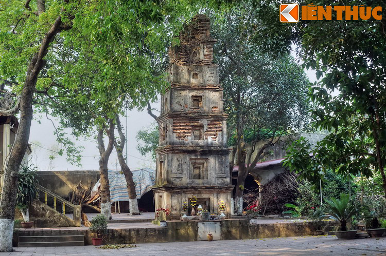 Vào thế kỷ 18, Quận Hẻo Nguyễn Danh Phương cho xây thêm 2 toà tháp 7 tầng ở chùa. Từ đó, chùa Cói trở thành một tổng thể kiến trúc hoàn chỉnh, có giá trị nghệ thuật cao, được gần xa biết đến.