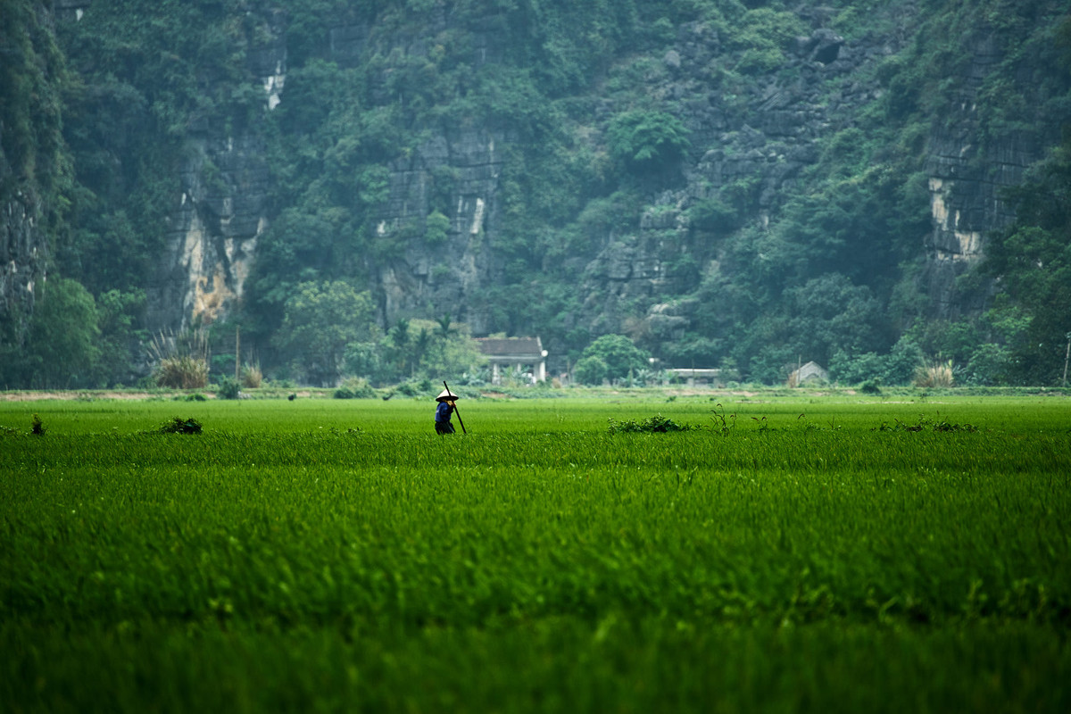 Ruộng đồng nằm dưới chân núi đá, cảnh quan đặc trưng của Ninh Bình. Ảnh: Marcus Witte / 500px.com.