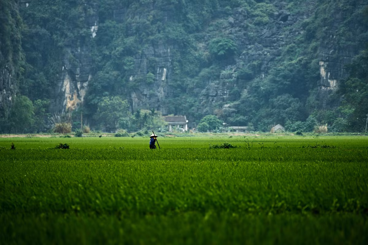 Ruộng đồng nằm dưới chân núi đá, cảnh quan đặc trưng của Ninh Bình. Ảnh: Marcus Witte / 500px.com.