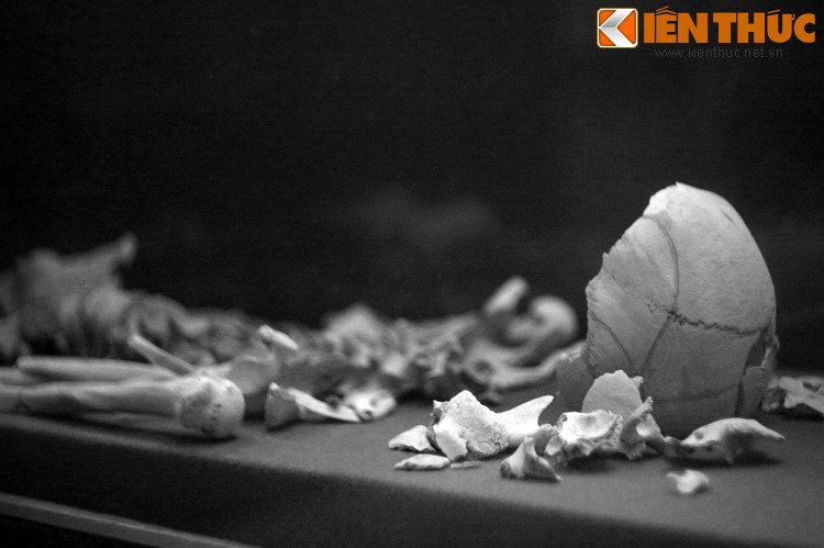  Bào tàng Cần Thơ là một điểm đến không thể bỏ qua dành cho những ai muốn khám phá lịch sử của miền sông nước Tây Nam Bộ. Trong các hiện vật được lưu giữ tại bảo tàng, có một hiện vật khiến nhiều người không khỏi bàng hoàng: Một bộ hài cốt không còn nguyên vẹn...