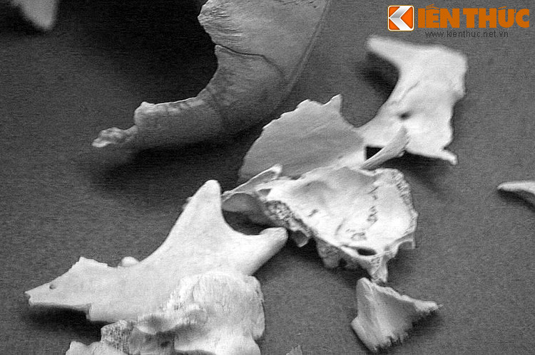 Sau khi chế độ Việt Nam Cộng hòa bị xóa bỏ, người ta phát hiện nhiều hố chôn và tổng số hài cốt lên tới con số hàng ngàn. Và có thể, những gì được phát hiện chưa phải là tất cả số nạn nhân của cuộc thảm sát.