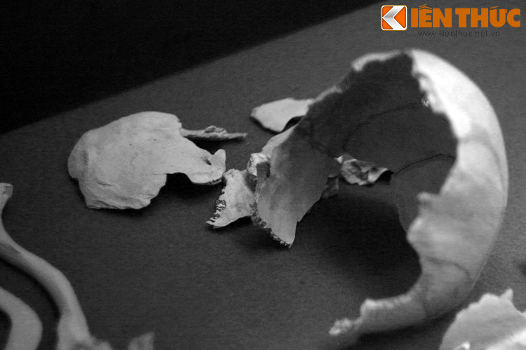 Ngược dòng lịch sử, từ năm 1959, để đàn áp phong trào yêu nước, chính quyền Ngô Đình Diệm đã lập một trại tập trung khổng lồ ở hai địa bàn xã Vị Thanh - Hỏa Lựu để gom hàng chục ngàn dân nông thôn quanh vùng vào sinh sống.