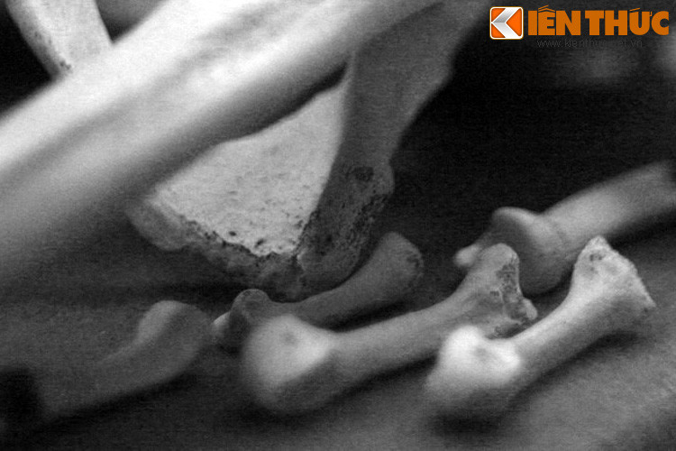 Hơn 880 cuộc càn quét lớn nhỏ ở Vị Thanh và các xã lân cận thuộc huyện Long Mỹ và huyện Giồng Riềng để bắt lính và gom hàng vạn gia đình vào các khu trại bao quanh bởi rào thép gai, có binh lính canh phòng nghiêm ngặt không khác gì trại tù.