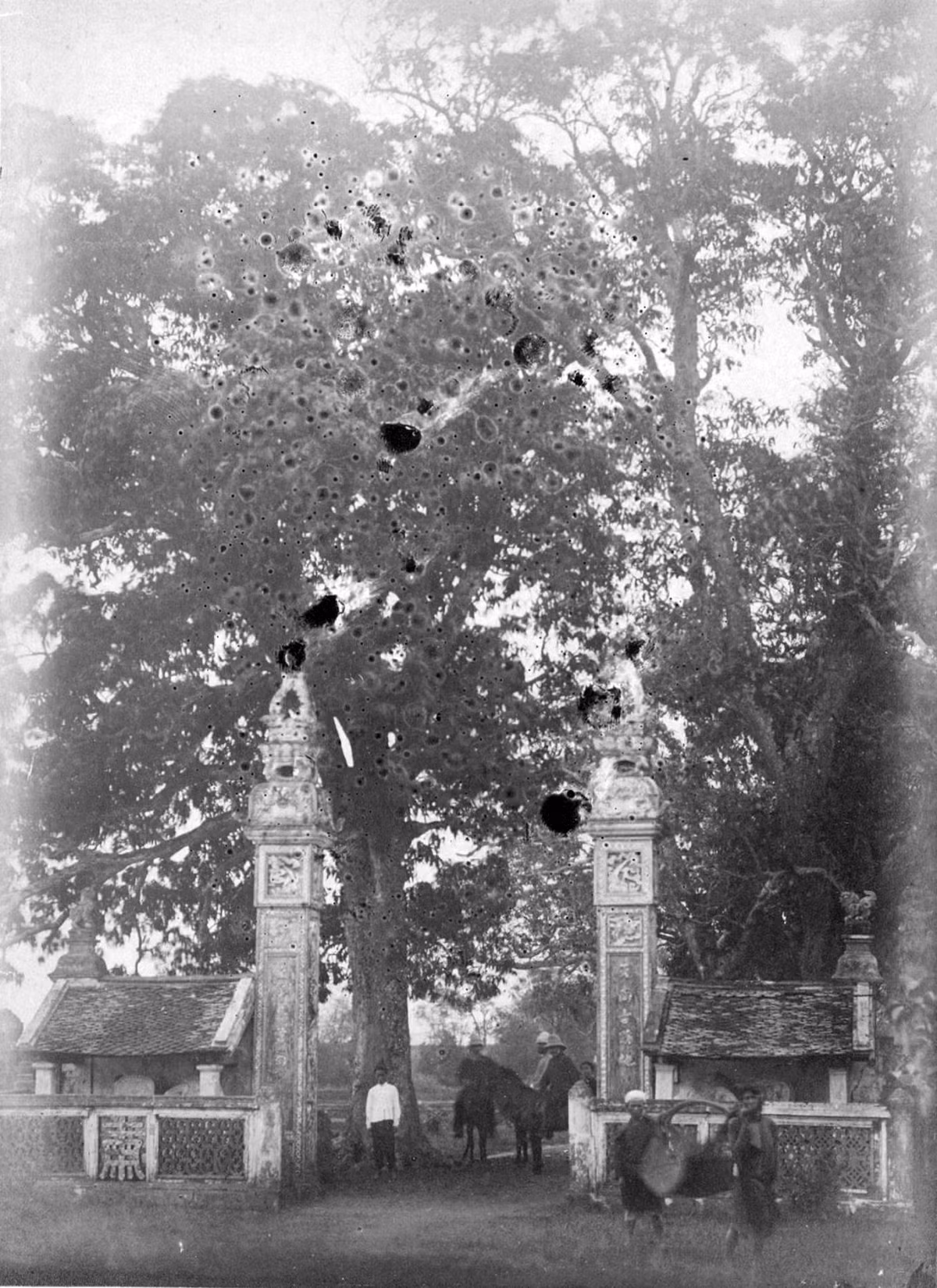 Cổng đền Voi Phục ở Hà Nội, nơi Adrien-Paul Balny d'Avricourt - cộng sự của Francis Garnier - bị quân cờ đen giết cùng ngày 21/12/1873. Người Pháp gọi đền Voi Phục là "chùa Balny" để ghi nhớ sự kiện này.