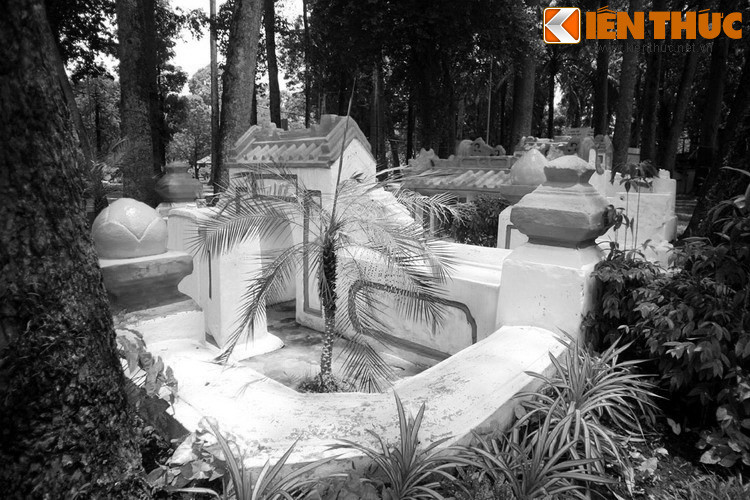 Nẳm ở trung tâm quận 1 TP HCM, công viên Tao Đàn có lịch sử lâu đời, là một trong những lá phổi xanh quan trọng nhất của thành phố. Ở một góc công viên sát hè đường Trương Định có một khu mộ cổ bề thế, có kiến trúc còn khá nguyên vẹn.