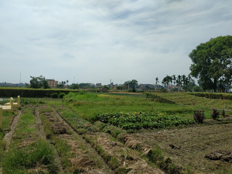 Thon co 2 nghia trang, nguoi chet khong co cho chon: 