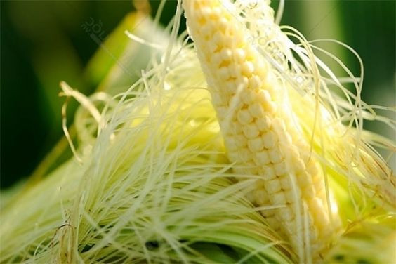 Râu ngô, chè xanh, chanh, atiso, giảo cổ lam… là những dược liệu phổ biến trong dân gian được sử dụng để thải độc, thanh lọc cơ thể. Chính vì thế, sau cả tuần Tết ăn uống bia rượu lu bù khiến cơ thể mệt mỏi, nặng nề, nhiều người chọn uống các loại nước thảo dược này để thanh lọc cơ thể. Ảnh Internet.