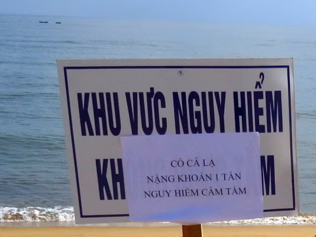 Canh bao nguy hiem ca la xuat hien doc bien Tuy Hoa-Hinh-3