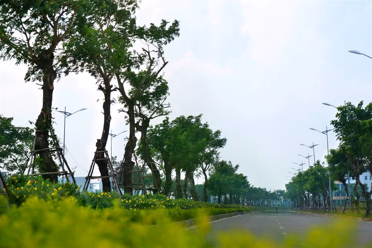 Khu do thi sinh thai Hoa Xuan: Gia mem, song tien nghi-Hinh-4