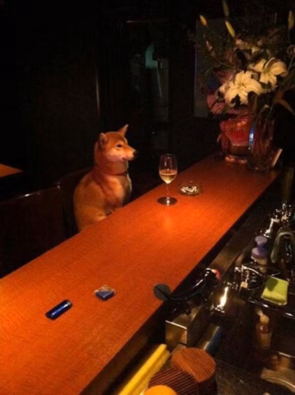 Một ly rượu cho buổi tối đầy hứng khởi nào!