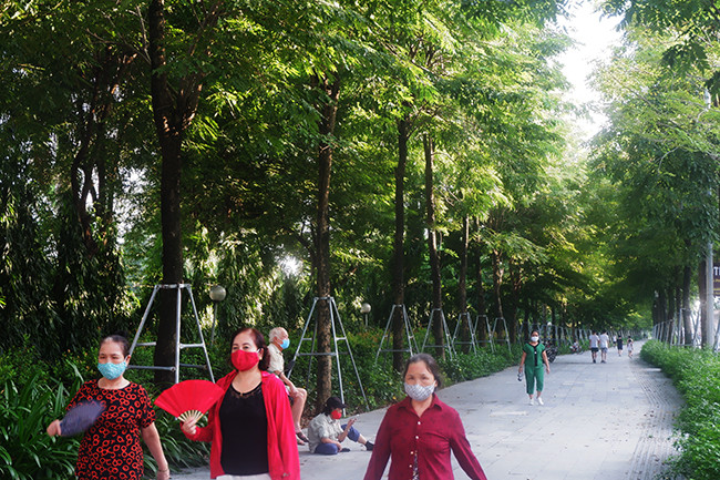 Nhuc mat voi hang cay bi 