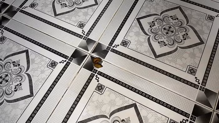  Bé gái 4 tuổi tử vong do hóc hạt nhãn: Tối 27/9, bé L. (SN 2017) tại xã Hàm Kiệm, huyện Hàm Thuận Nam (Bình Thuận) vừa chơi điện thoại vừa ăn nhãn, có người cha ngồi gần đó. Khi bé L. cắn vỏ thì hạt nhãn không may rơi xuống cổ họng, chặn ngang đường thở. Người nhà của bé dùng tay để móc hạt nhãn ra khỏi cổ nhưng không được. Sau đó đưa đi viện thì đã tử vong.