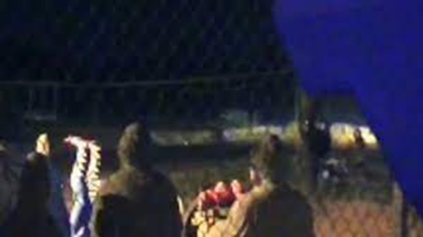 Sau khi tên Đỗ Thái Bình sa lưới pháp luật, tên Phương (một thành viên trong băng cướp) lên giữ vai trò trưởng nhóm. Biết "đại ca" đã bị sa lưới, nhưng bọn chúng không hề lấy làm hoảng sợ, vẫn tiếp tục thực hiện các vụ cướp trên Quốc lộ 1. Chúng không biết rằng, hồ sơ về những vụ phạm tội của chúng đang được Công an thu thập ngày càng đầy đủ hơn, chuẩn bị giăng một mẻ lưới cuối cùng để vây bắt toàn bộ bọn chúng, triệt phá tận gốc băng cướp nguy hiểm này. (Ảnh minh họa)