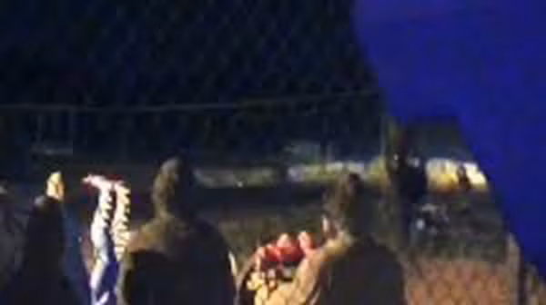 Sau khi tên Đỗ Thái Bình sa lưới pháp luật, tên Phương (một thành viên trong băng cướp) lên giữ vai trò trưởng nhóm. Biết "đại ca" đã bị sa lưới, nhưng bọn chúng không hề lấy làm hoảng sợ, vẫn tiếp tục thực hiện các vụ cướp trên Quốc lộ 1. Chúng không biết rằng, hồ sơ về những vụ phạm tội của chúng đang được Công an thu thập ngày càng đầy đủ hơn, chuẩn bị giăng một mẻ lưới cuối cùng để vây bắt toàn bộ bọn chúng, triệt phá tận gốc băng cướp nguy hiểm này. (Ảnh minh họa)