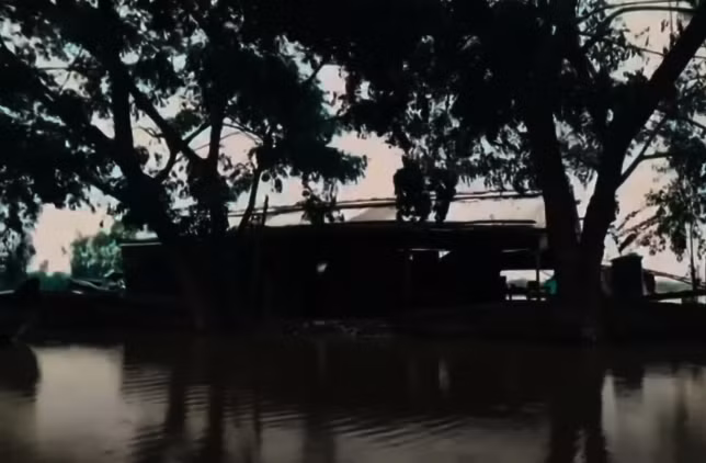 Nghe lời nhiều người mách bảo, đợi đến khi bóng đêm phủ xuống vùng Đồng Tháp Mười tối như mực, Phương chèo ghe tìm nhà thầy Hai Tưng. Trước khi đến nhà thầy Tưng xin bùa, cô chỉ kịp vội nói úp mở với gia đình vài câu rồi đi. Từ đó, Phương mất tăm và mãi mãi không trở về. Đã gần 2 tháng, gia đình thấy cô gái đi quá lâu nhưng chẳng có tin tức và mọi người đổ xô chia làm nhiều hướng để đi tìm. (Ảnh: ANTV)