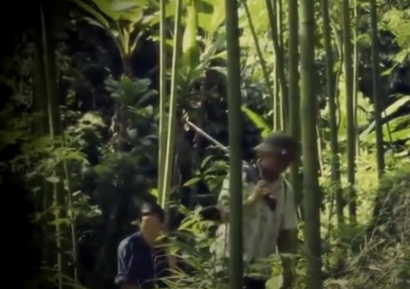 Thấy bạn rủ đi săn, đang lúc nông nhàn rỗi việc nên Đặng Chòi Quyên không chút nghi ngờ. Anh vác súng cùng bạn vào rừng. Sau một hồi lùng sục khắp cánh rừng cuối bản cả hai không săn được con thú nào.