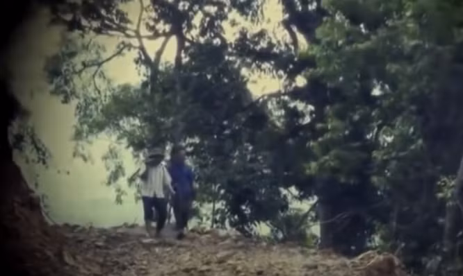 Chiều muộn, ngày 13/6/2012, khi Mặt trời đỏ như lòng đỏ trứng gà vừa khuất sau dãy núi, Tòng gọi điện rủ bạn thân là Đặng Chòi Quyên (SN 1977), trú tại xóm Nà Khuổi, xã Sơn Lộ đi vào rừng săn thú. Đó là một buổi đi săn “đặc biệt” mà Tòng đã nung nấu, lên kế hoạch từ lâu. 