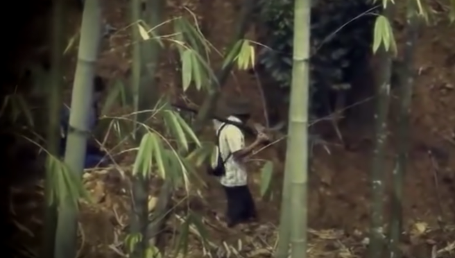 Tòng là em con dì, Quyên là anh con bác gái, vốn là "bạn nối khố". Hai người thân thiết với nhau như anh em ruột, từ lúc còn nhỏ cho đến khi lập gia đình riêng lúc nào cũng có nhau như hình với bóng. 